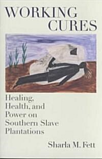 Working Cures: Healing, Health, and Power on Southern Slave Plantations (Paperback)