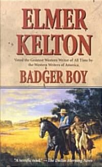 Badger Boy (Paperback)