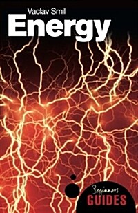 Energy : A Beginners Guide (Paperback)