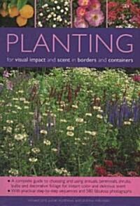 Planting for Visual Impact and Scent in Borders and Containers : A Complete Guide to Choosing and Using Annuals, Perennials, Shrubs, Bulbs and Decorat (Paperback)