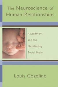 The neuroscience of human relationships : attachment and the developing social brain