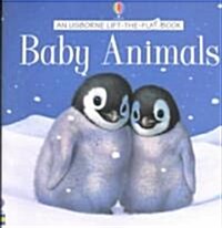 Baby Animals (Paperback, LTF)