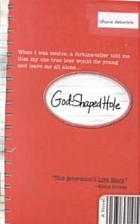 God Shaped Hole (Paperback)