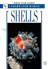 Shells (Paperback, New)