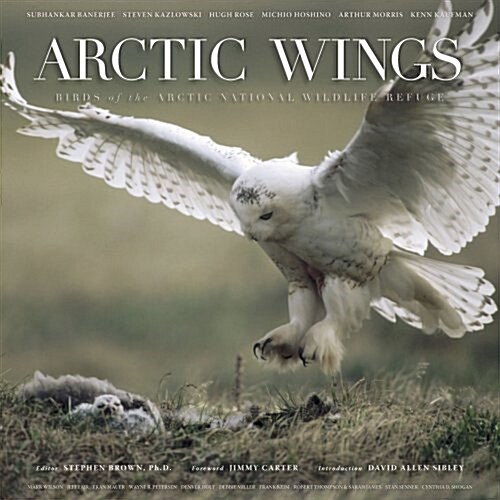 Arctic Wings (Hardcover, Compact Disc)