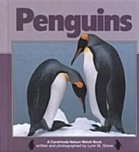 Penguins (Hardcover)