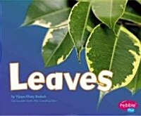 Leaves (Library Binding)