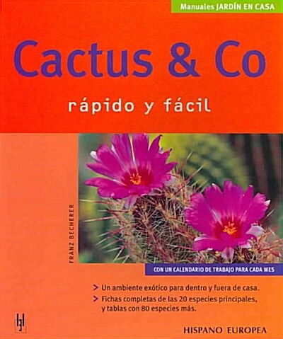 CACTUS & CO. RAPIDO Y FACIL (Paperback)