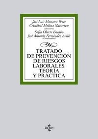 TRATADO DE PREVENCION DE RIESGOS LABORALES: TEORIA Y PRACTICA (Paperback)