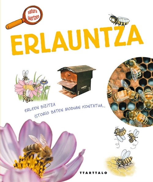 ERLAUNTZA (Book)