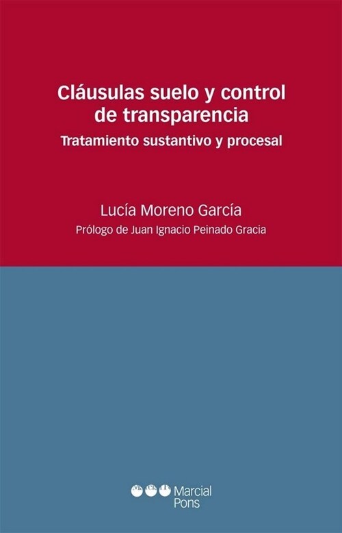 CLAUSULAS DE SUELO Y CONTROL DE TRANSPARENCIA: TRATAMIENTO SUSTANTIVOY PROCESAL (Paperback)