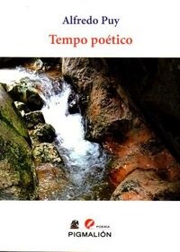 TEMPO POETICO (Paperback)
