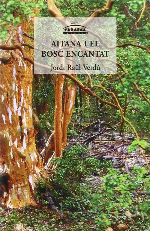AITANA I EL BOSC ENCANTAT (Paperback)