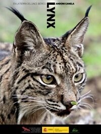 LYNX (Book)