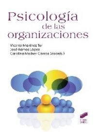 PSICOLOGIA DE LAS ORGANIZACIONES (Paperback)