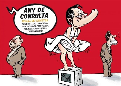 ANY DE CONSULTA (Hardcover)