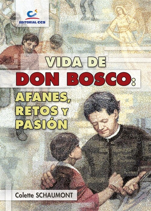 VIDA DE DON BOSCO: AFANES, RETOS YPASION (Paperback)