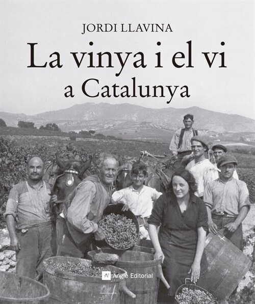 LA VINYA I EL VI A CATALUNYA (Hardcover)