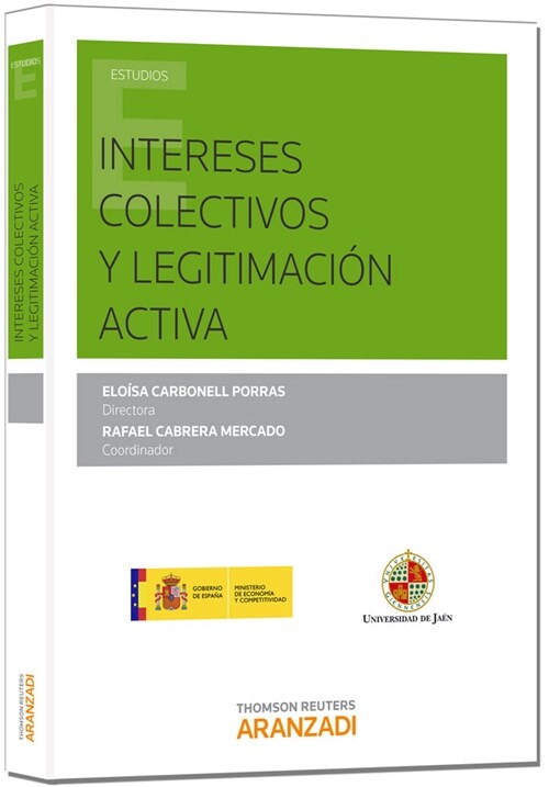 INTERESES COLECTIVOS Y LEGITIMACION ACTIVA (Paperback)