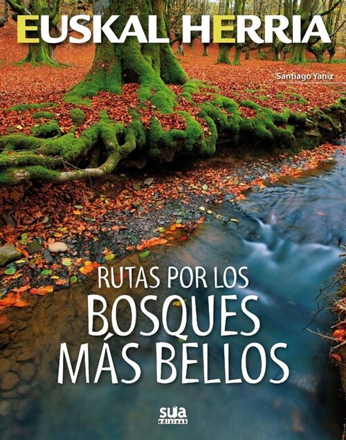 RUTAS POR LOS BOSQUES MAS BELLOS (Paperback)