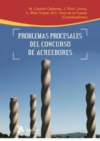 PROBLEMAS PROCESALES DEL CONCURSO DE ACREEDORES (Paperback)