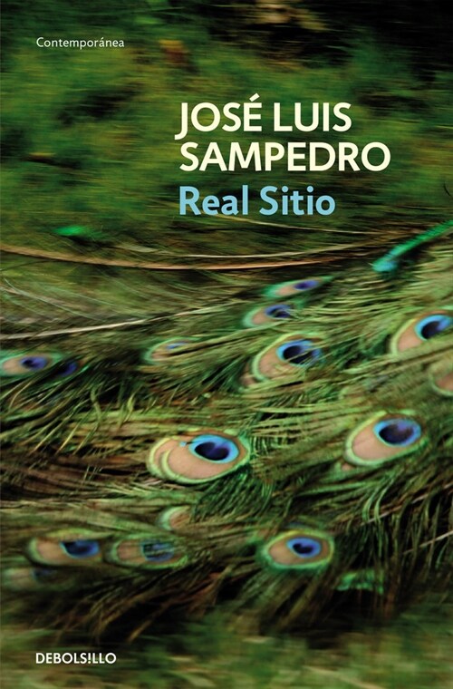 REAL SITIO (Paperback)