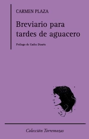 BREVIARIO PARA TARDES DE AGUACERO (Paperback)