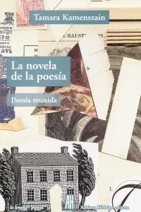 LA NOVELA DE LA POESIA (Paperback)