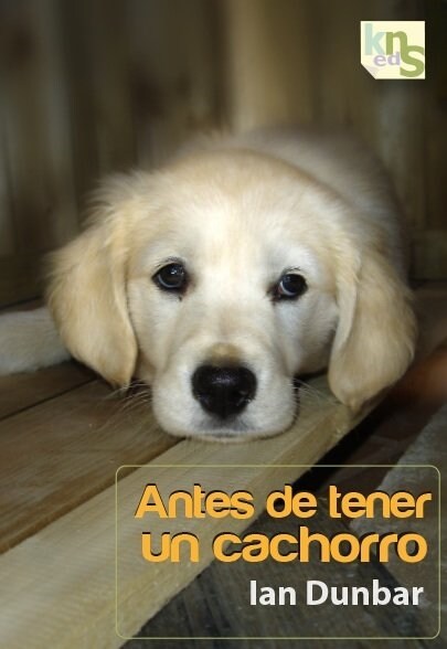 ANTES DE TENER UN CACHORRO (Paperback)