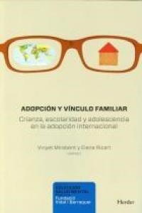 ADOPCION Y VINCULO FAMILIAR (Paperback)