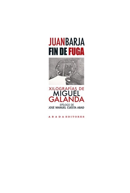 FIN DE FUGA (Paperback)