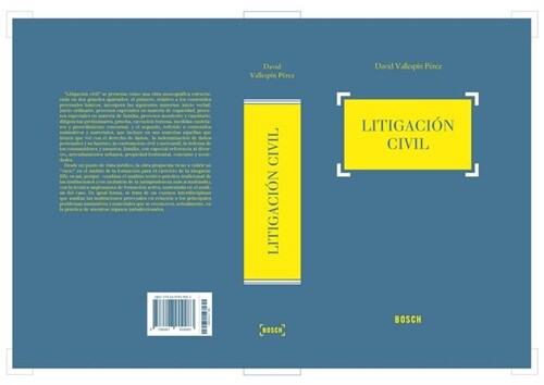 LITIGACION CIVIL ASPECTOS PROCESALES Y SUSTANTIVOS (Hardcover)