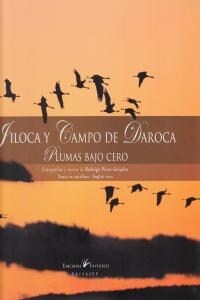 JILOCA Y CAMPO DE DAROCA (Paperback)