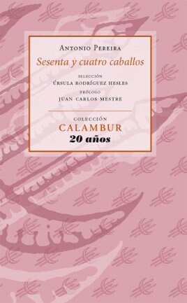 SESENTA Y CUATRO CABALLOS (Paperback)