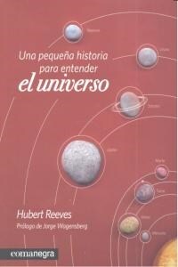 UNA PEQUENA HISTORIA PARA ENTENDEREL UNIVERSO (Paperback)