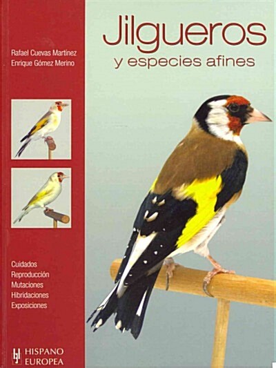 JILGUEROS Y ESPECIES AFINES (Paperback)