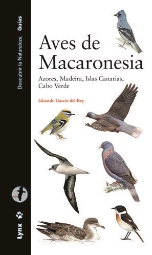 AVES DE MACARONESIA (Paperback)
