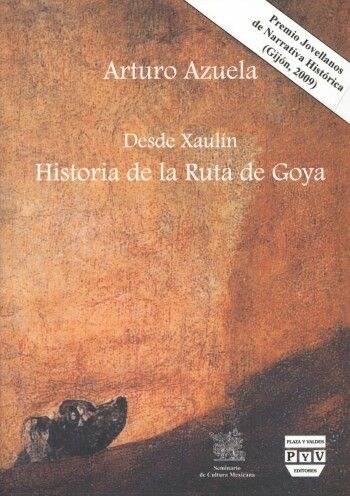 DESDE XAULIN (Paperback)