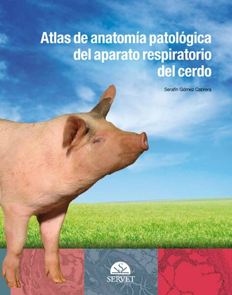 ATLAS DE ANATOMIA PATOLOGICA DEL APARATO RESPIRATORIO DEL CERDO (Hardcover)