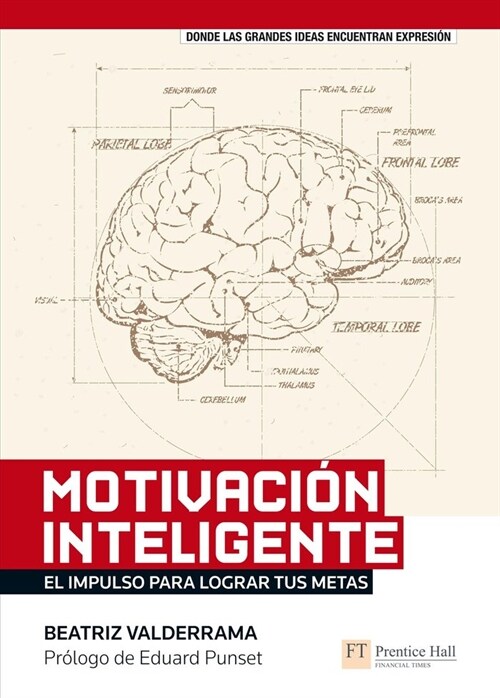 MOTIVACION INTELIGENTE (Paperback)