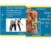 PACKS: COLECCION GILROY/TORTORA/GILROY FICHAS (Hardcover)