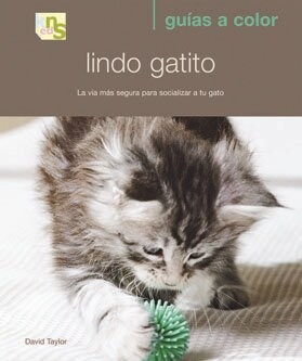 LINDO GATITO (Paperback)