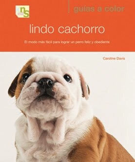 LINDO CACHORRO (Paperback)