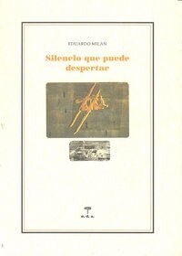 SILENCIO QUE PUEDE DESPERTAR (Paperback)