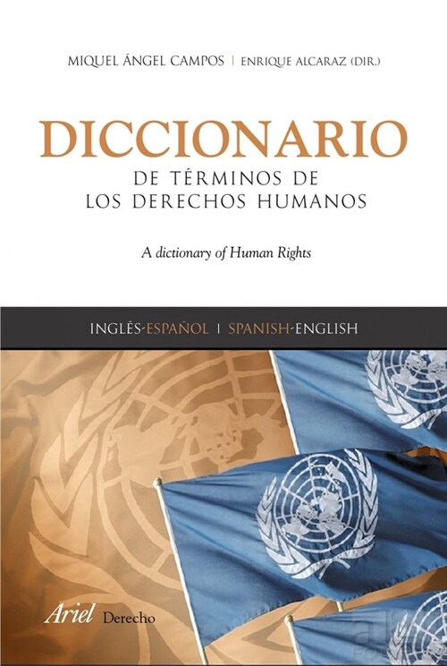 DICCIONARIO DE TERMINOS DE LOS DERECHOS HUMANOS (Paperback)