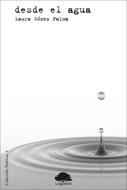 DESDE EL AGUA (Paperback)