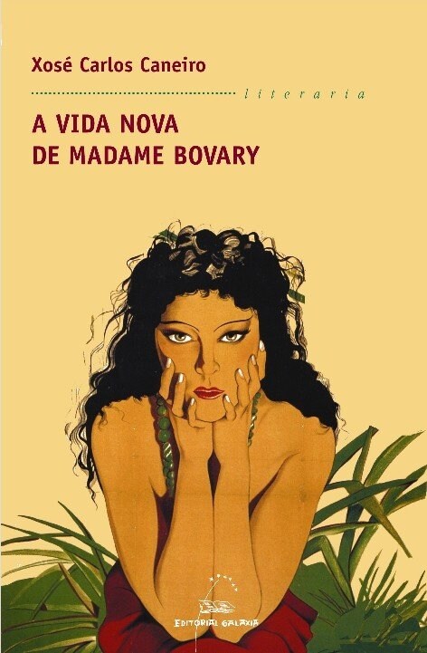 A VIDA NOVA DE MADAME BOVARY (Paperback)