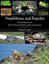 Amphibians and Reptiles: An Introduction to Their Natural History and Conservation (Paperback)