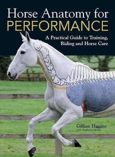 Horse Anatomy for Performance : A Practical Guide to Training, Riding and Horse Care (Hardcover)