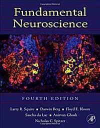 Fundamental Neuroscience (Hardcover, 4, Revised)